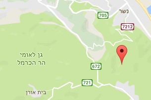 שירות מנעולן בכרמל